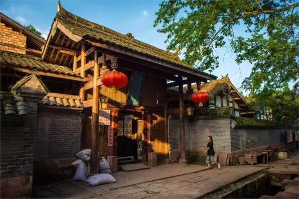 细胞分裂4